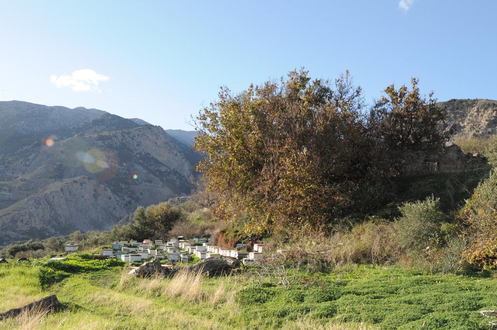 Mala Villa Malles Dış mekan fotoğraf